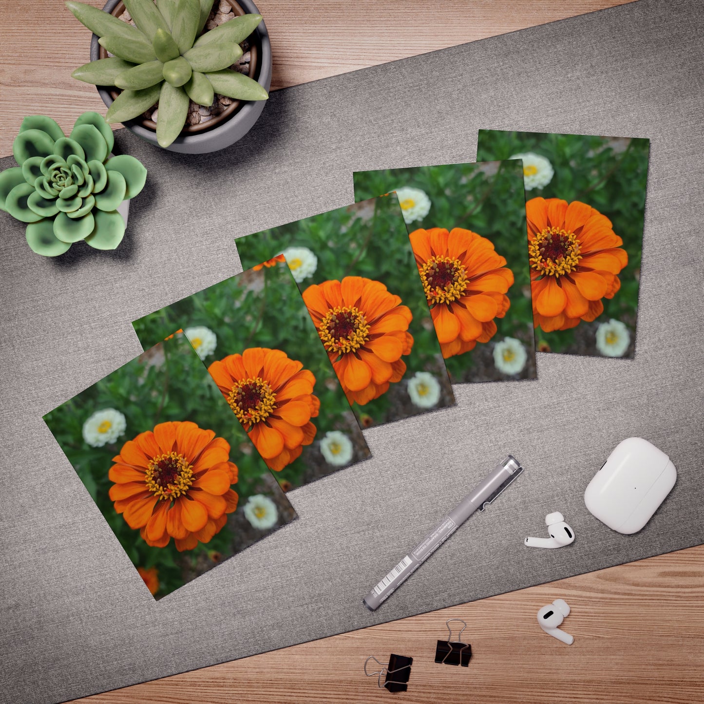 Orange Zinnia Greeting Cards (5-Pack)