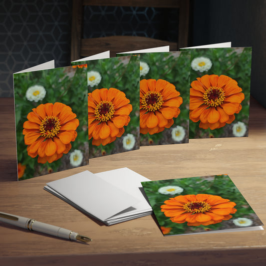 Orange Zinnia Greeting Cards (5-Pack)