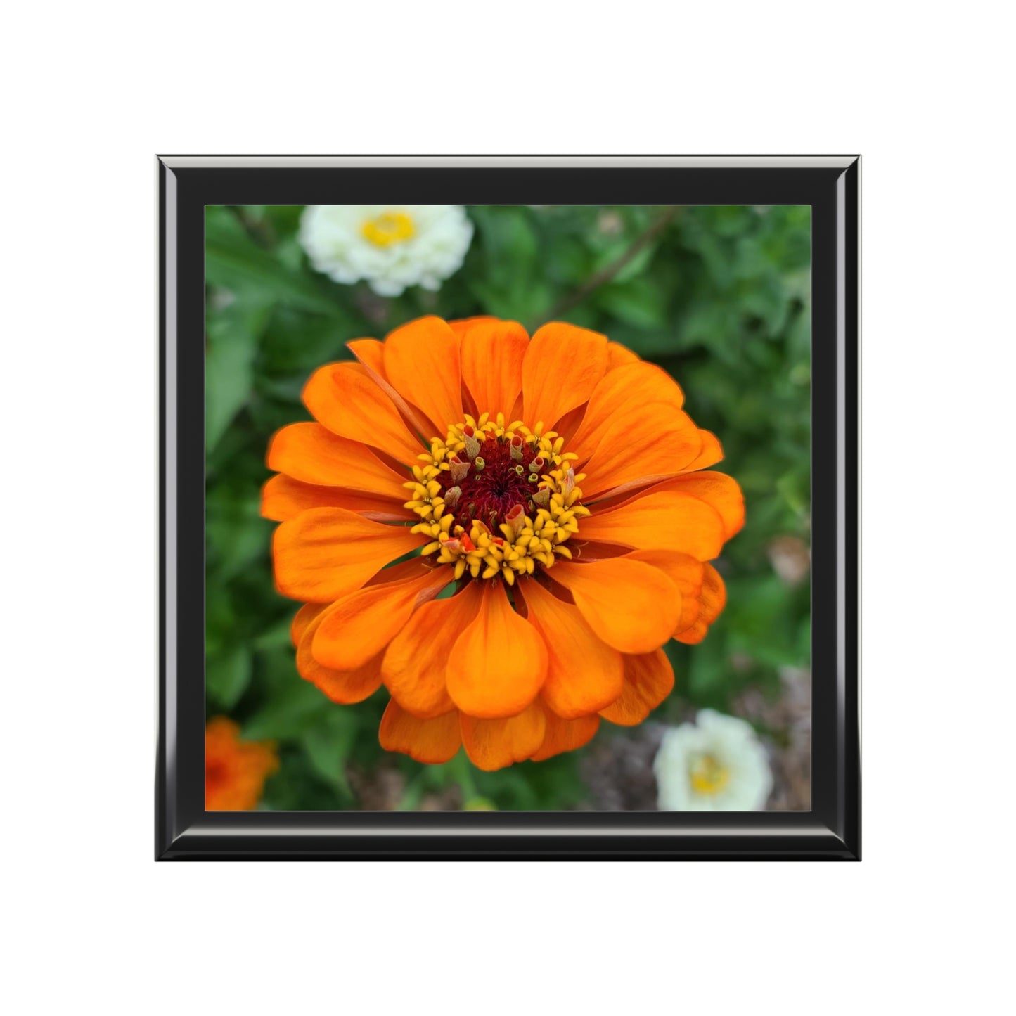 Orange Zinnia Gift Jewelry Box