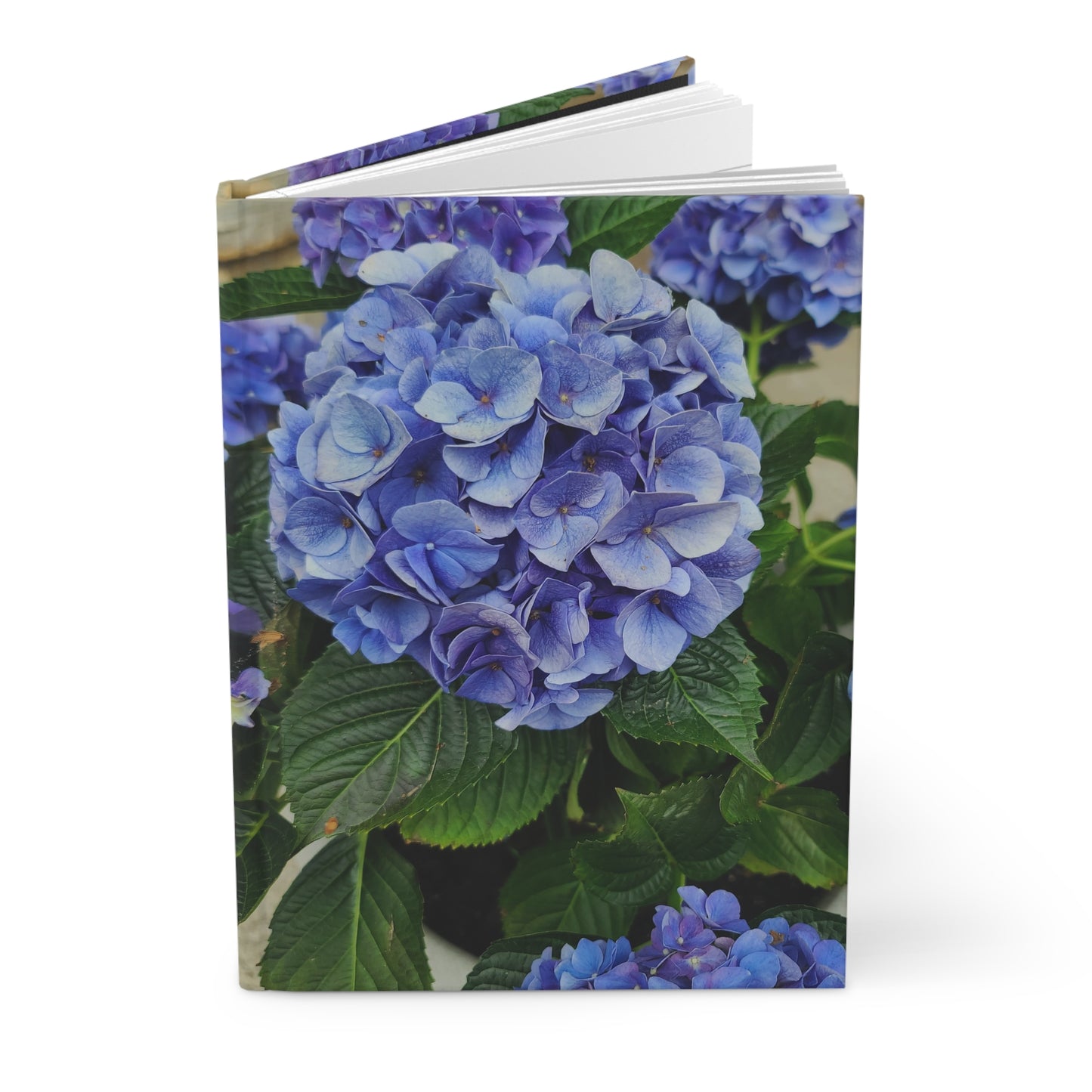 Hydrangea Hardcover Journal