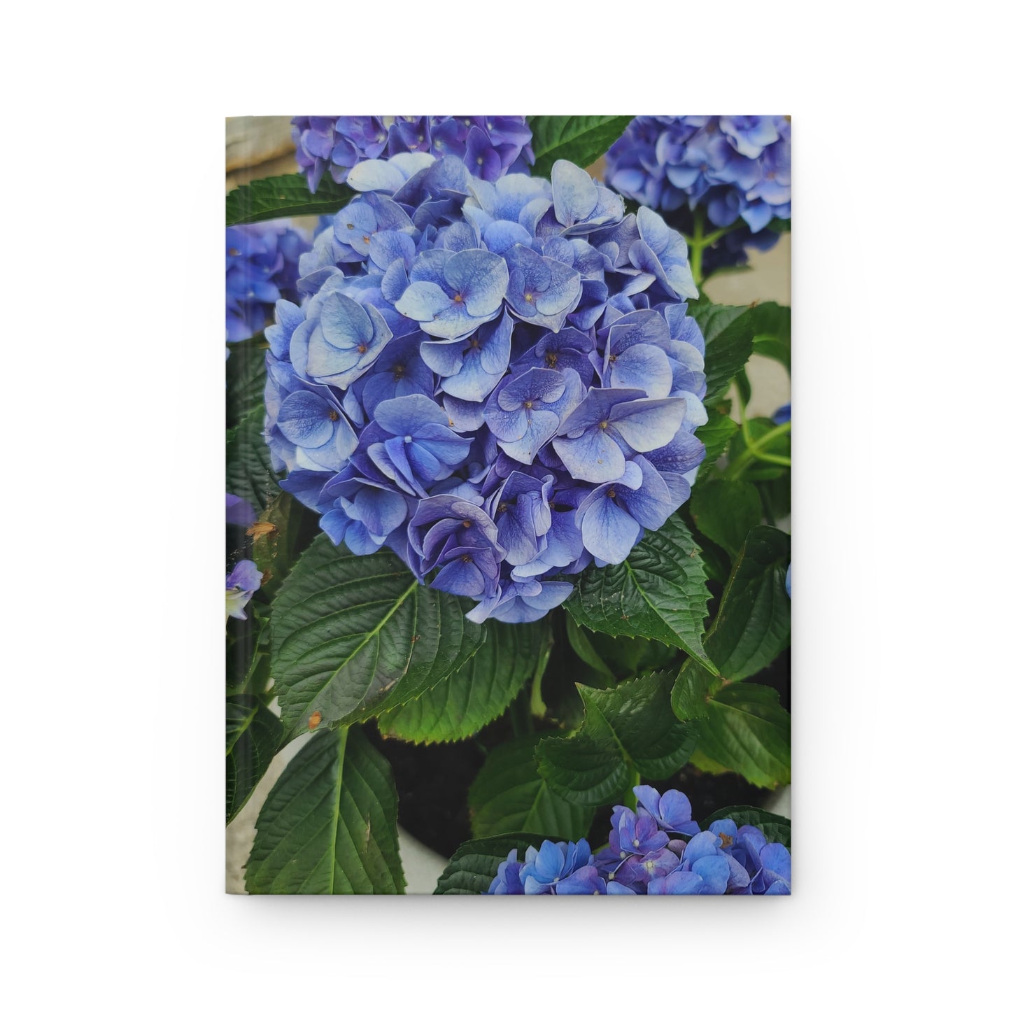 Hydrangea Hardcover Journal